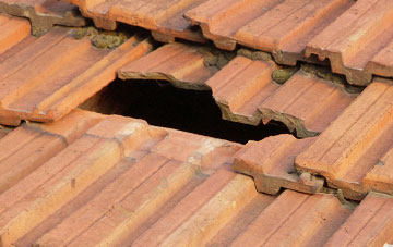roof repair Wreay, Cumbria